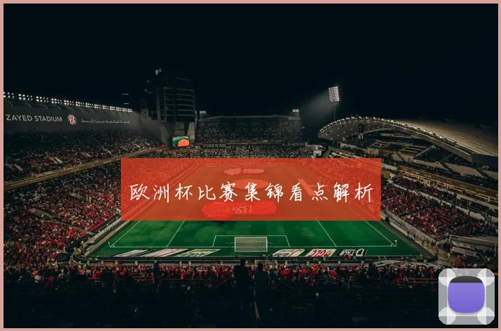 欧洲杯比赛集锦看点解析