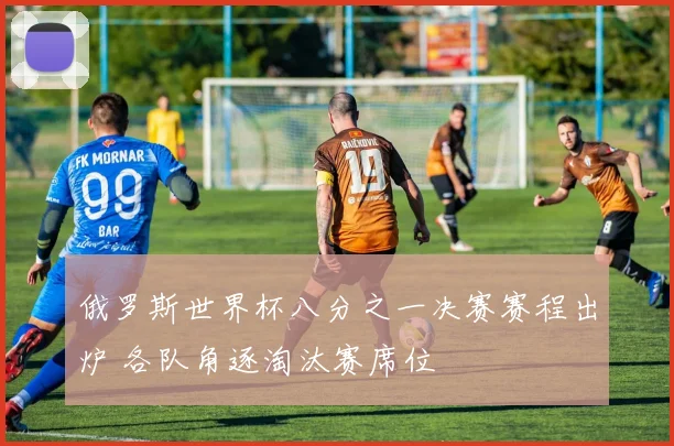 俄罗斯世界杯八分之一决赛赛程出炉 各队角逐淘汰赛席位