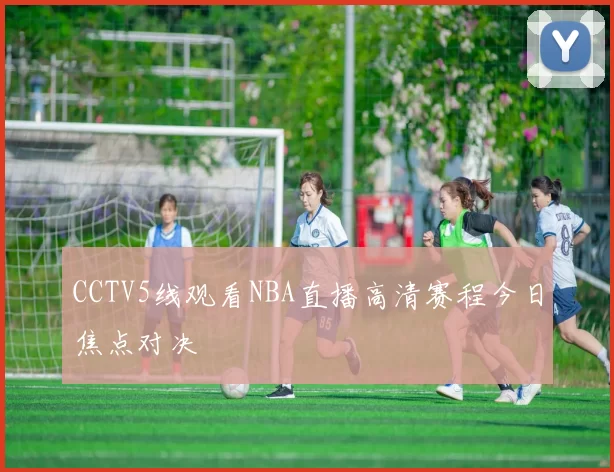 CCTV5线观看NBA直播高清赛程今日焦点对决